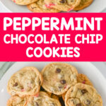 peppermint chocolate chip cookies