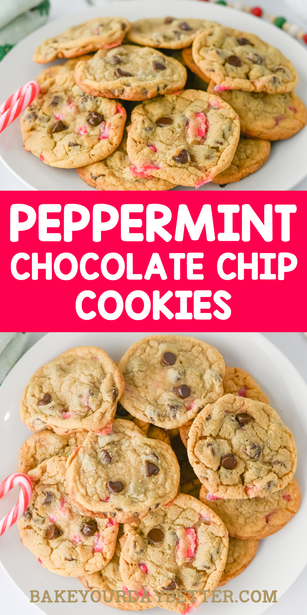 peppermint chocolate chip cookies