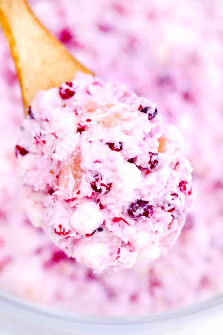 homemade millionaire cranberry salad