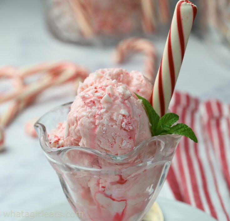horizontal top of ice cream sundae