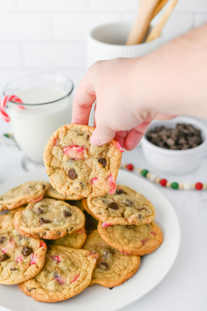hand holding a peppermint chocolate chip cookie