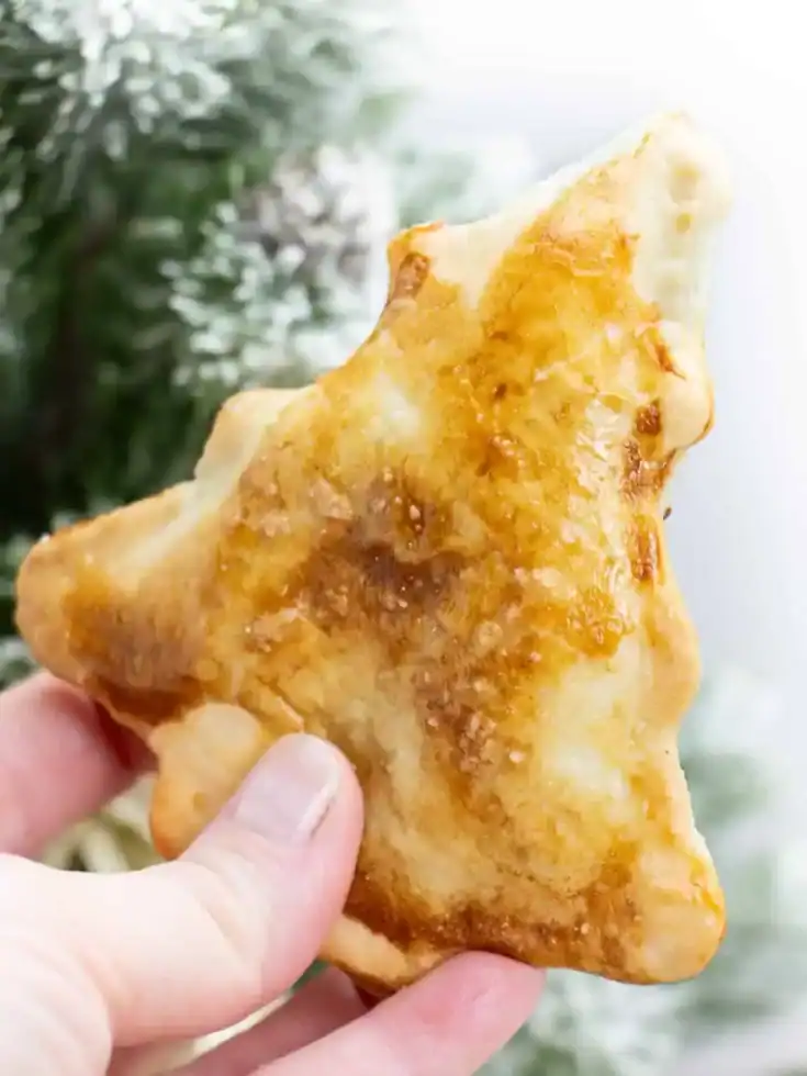 Xmas Chicken and Avocado Empanada 1 littlenomadsrecipes