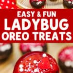easy and fun ladybug oreo treats