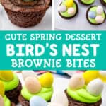 cute spring dessert bird's nest brownie bites